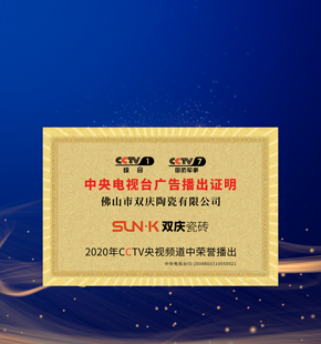 2020央視播出